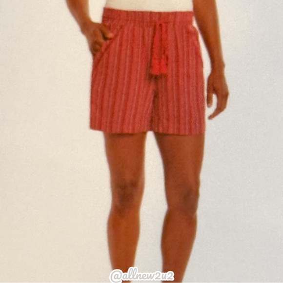 Briggs New York Pants - Briggs Women's Red Striped Shorts Linen Size XXL New with tags